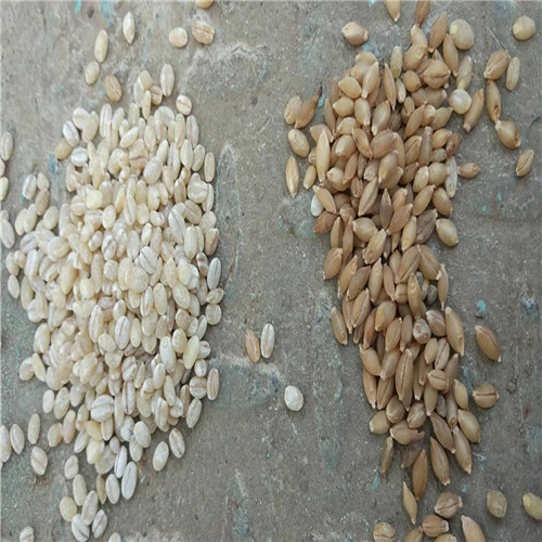 河南漯河60噸玉米制糝制粉成套項(xiàng)目