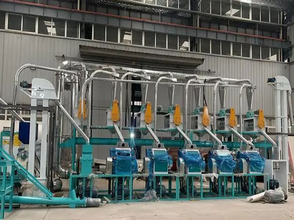 <a href=http://http://www.gczcqf.cn/product/6/ target=_blank class=infotextkey>玉米加工機械</a>