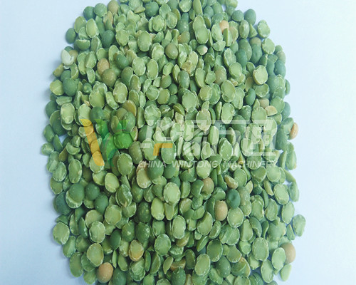 <a href=http://www.gczcqf.cn/product/8/ target=_blank class=infotextkey>豌豆脫皮機</a>