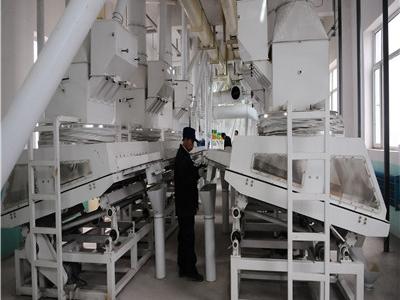 河南漯河60噸玉米制糝制粉成套項(xiàng)目