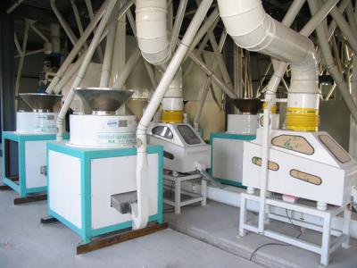 山西 連續(xù)自動(dòng)化苦蕎茶成套加工項(xiàng)目